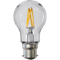 LED lampa B22 | A55 | utomhus | 2.4W